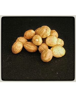 Nutmeg - Premium(50 gms)